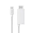 Wiwu Wi-PS001 Type-C to HDMI 4K 60Hz PD Şarj ve Projeksiyon Kablosu 1.8 m