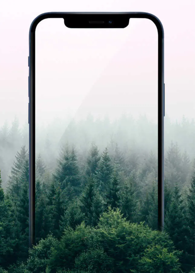iPhone 11 Pro Max Gizlilik Filtreli HD Ekran Koruyucu - Wiwu iPrivacy