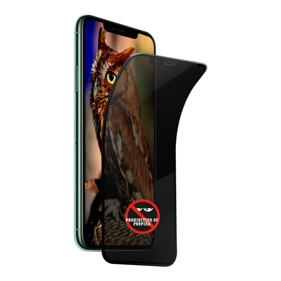 iPhone 12 Go Des Privacy Ekran Koruyucu, Hayalet Gizlilik Filmi