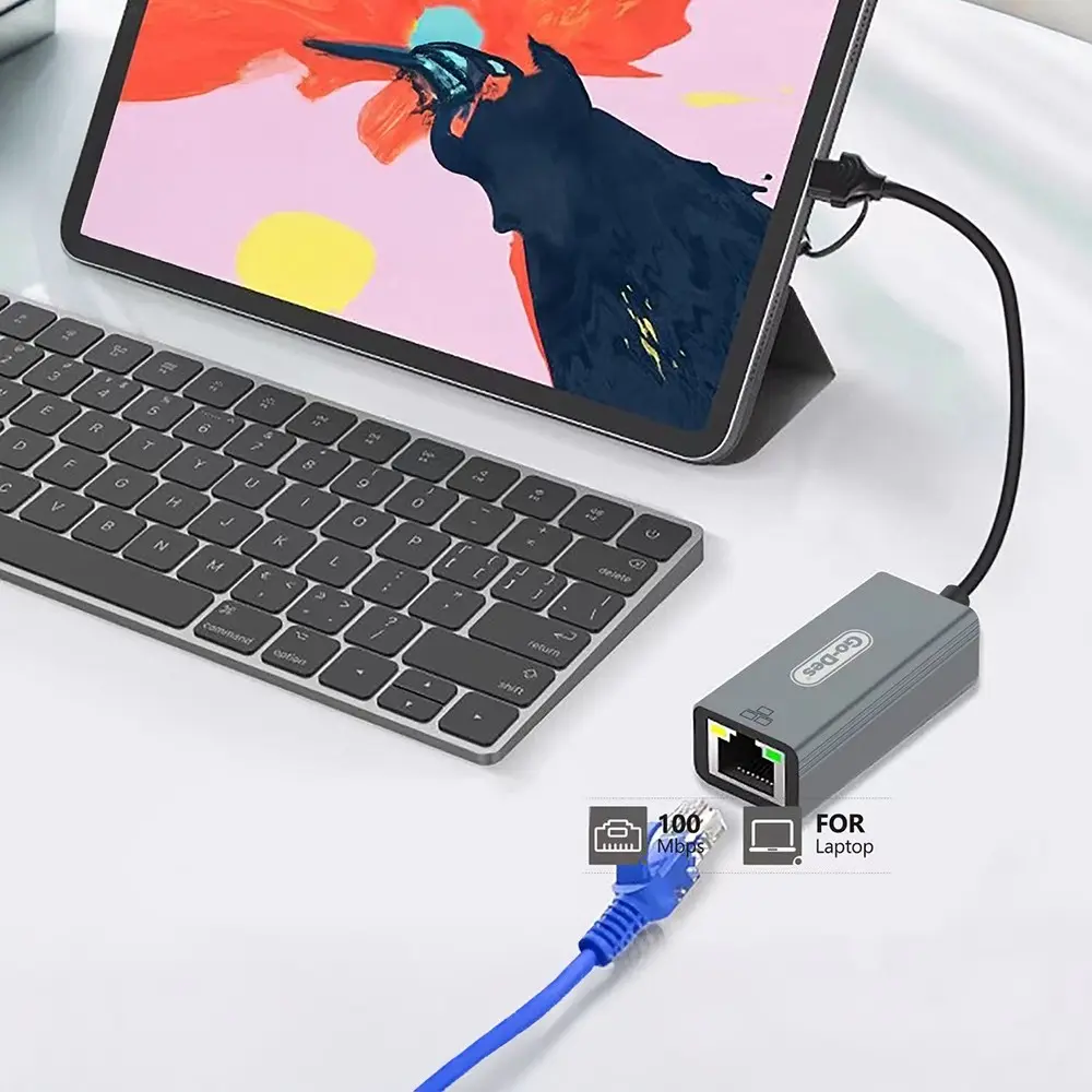 Go Des GD-6871 RJ45 Type-C ve USB-A Ethernet Dönüştürücü Kablo, 100 Mbps