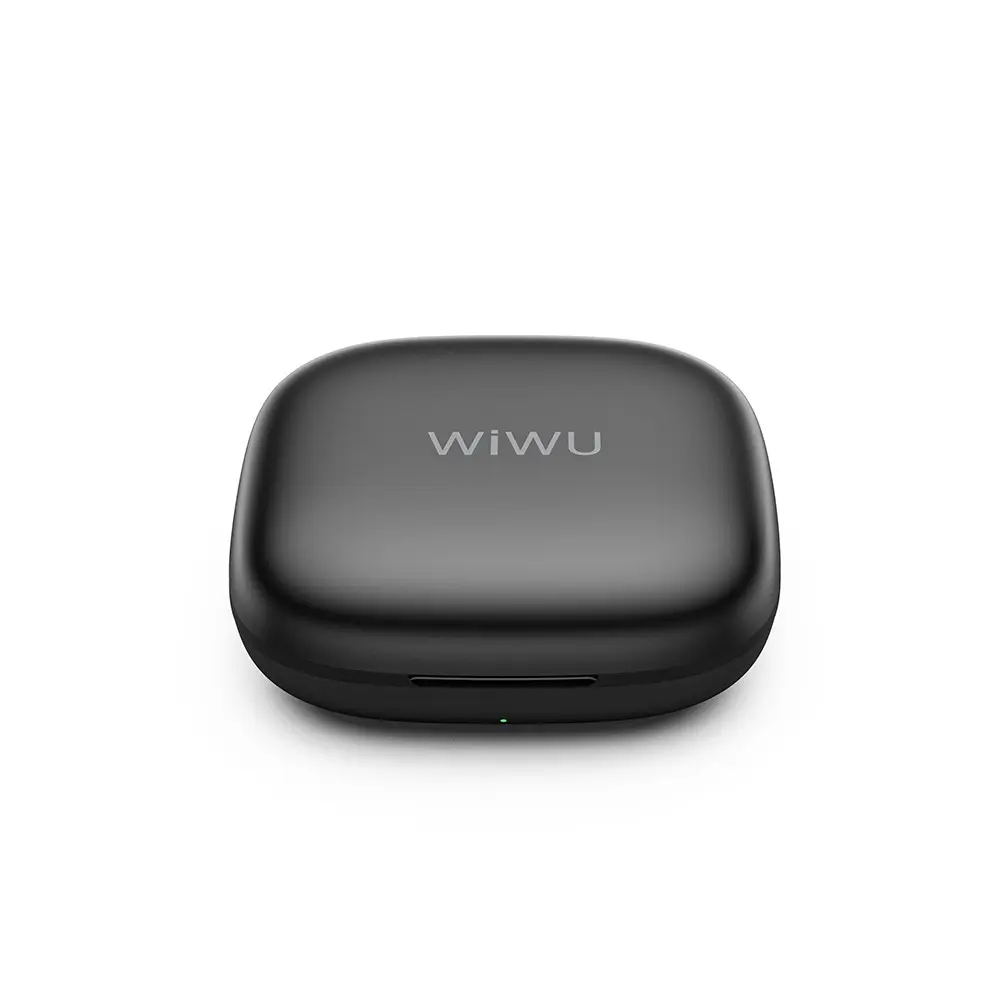 Wiwu Wi-WM006 2'si 1 Arada Type-C Kablosuz Yaka Mikrofonu, ANC